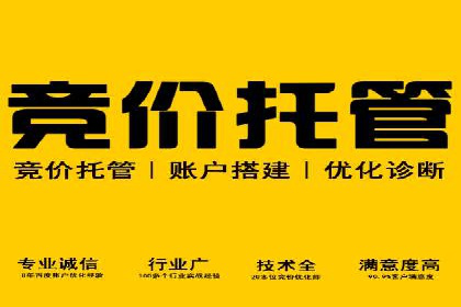 成功案例解析：SEM推广代运营公司助力企业抢占市场先机